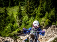 Schotter (1 von 1)-12