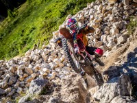 Schotter (1 von 1)-17