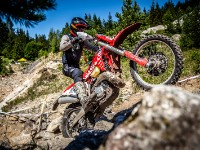 Schotter (1 von 1)-25