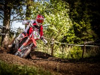 Mountain Wald (1 von 1)-25