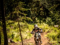 Mountain Wald (1 von 1)-28