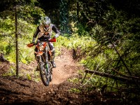 Mountain Wald (1 von 1)-37