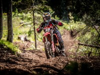 Mountain Wald (1 von 1)-40