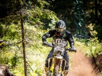 Mountain Wald (1 von 1)-46