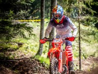 Mountain Wald (1 von 1)-49