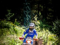 Mountain Wald (1 von 1)-51