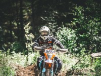 Mountain Wald (1 von 1)-55