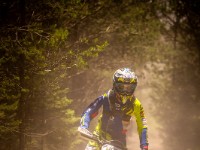 Mountain Wald (1 von 1)-6