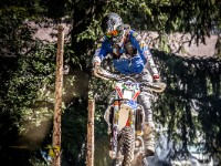 Mountain Wald (1 von 1)-73