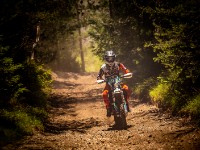 Mountain Wald (1 von 1)-9