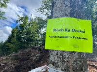 11947ca5-ca86-4d96-aa7e-cc56f33bad99