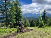 8ab21b86-2239-46d5-9f00-ff2140c5bfeb