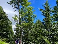 d82e8fe5-6c7b-4779-a9bb-d3747c812a45